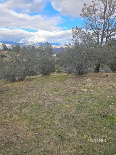 062-241-16 O St, Lake Isabella, CA 93285 - photo 2