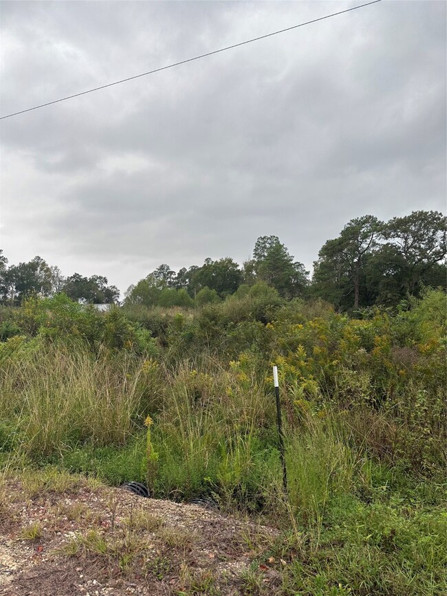 0 Vallie St, Pinehurst, TX 77362 - photo 4