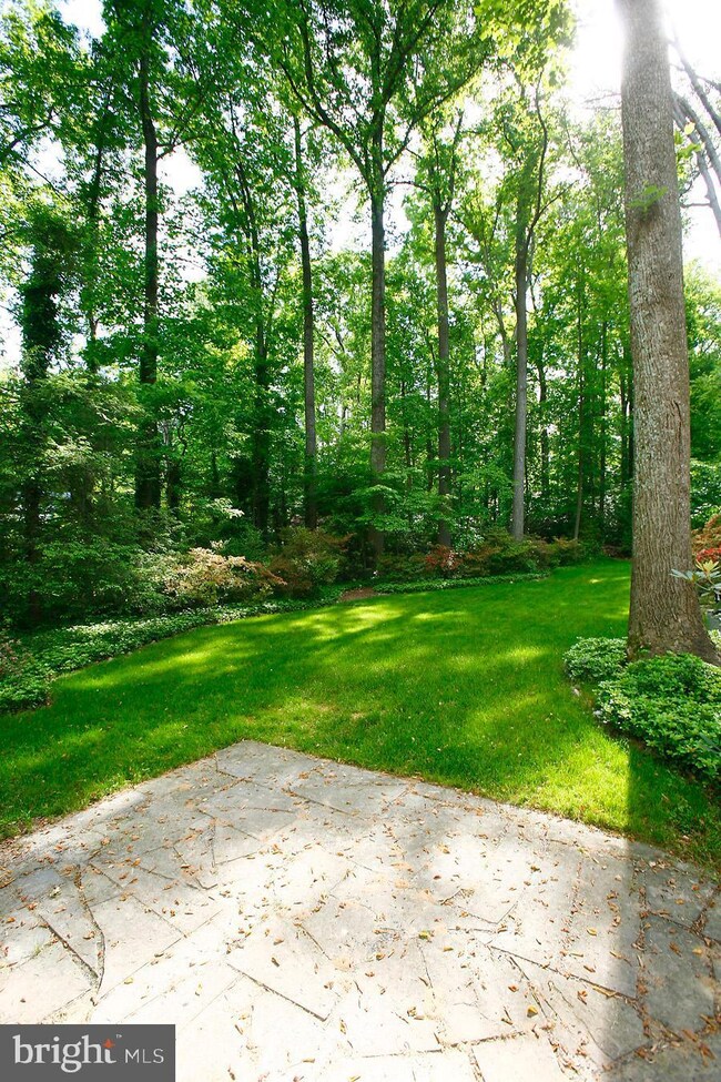 9122 Santayana Dr, Fairfax, VA 22031 - photo 5