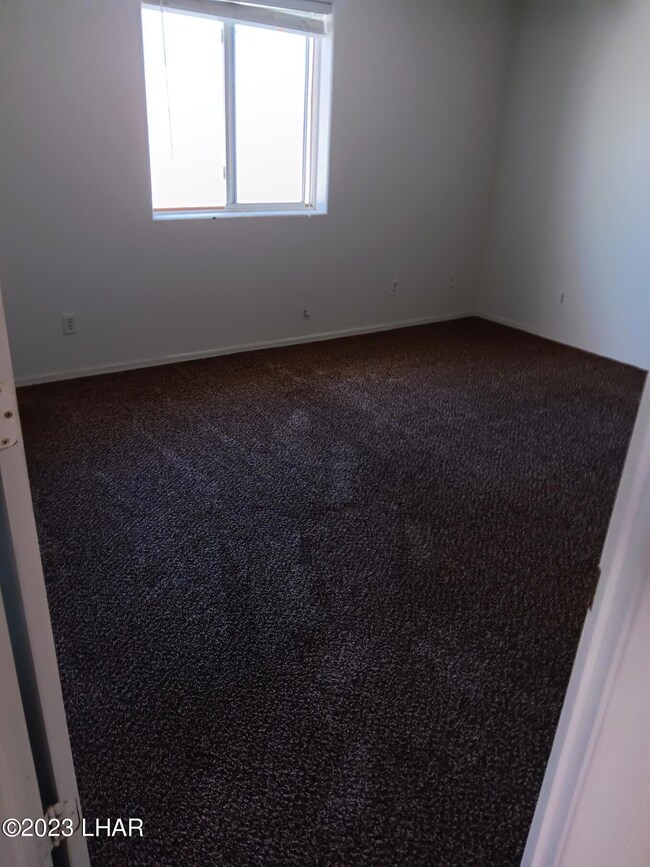 20230903_111534140 opossum 102