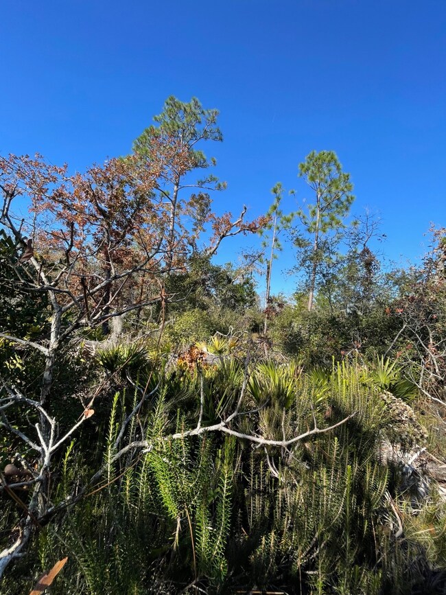 TBD Lot #19 Sea Oaks Dr unit 19, Perry, FL 32348 - photo 5