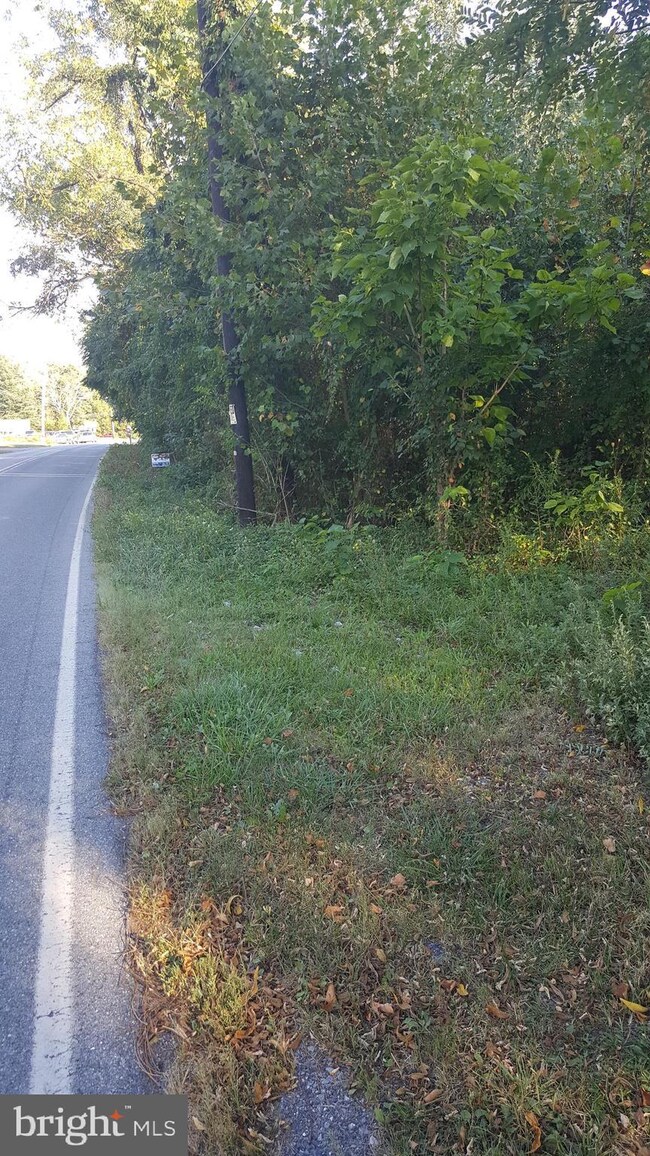 O Old Phila Pi, Douglassville, PA 19518 - photo 2