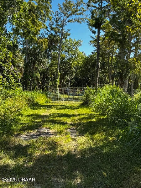 0 Shady Place, Daytona Beach, FL 32114 - photo 3