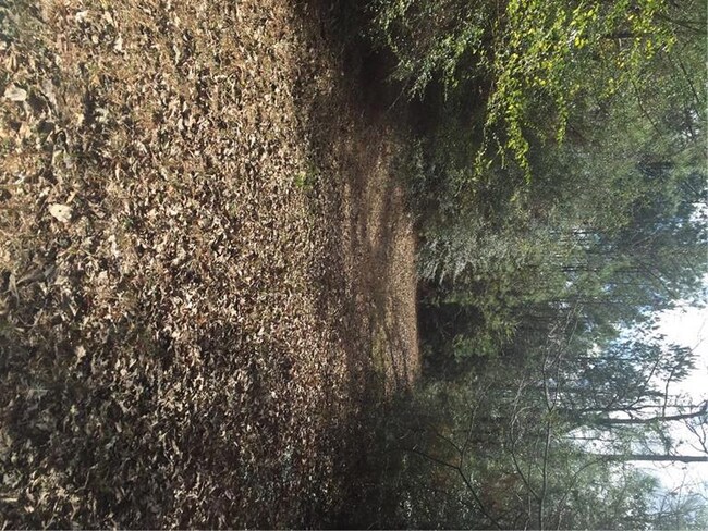 24375 Pope Rd, Franklinton, LA 70438 - photo 5