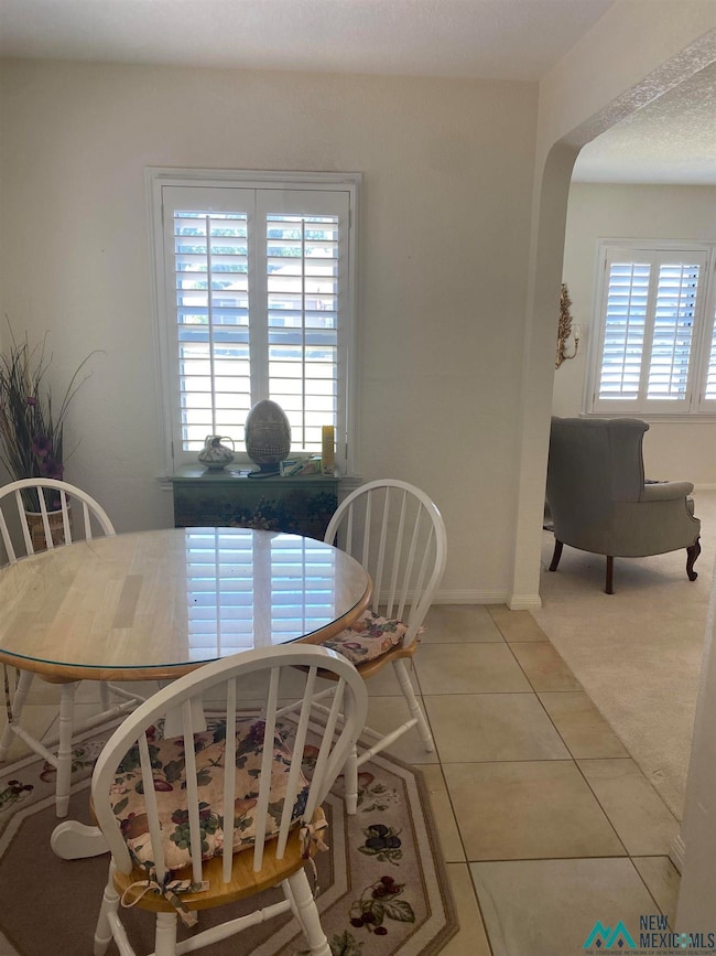 609 N Ash St, Carlsbad, NM 88220 - photo 6