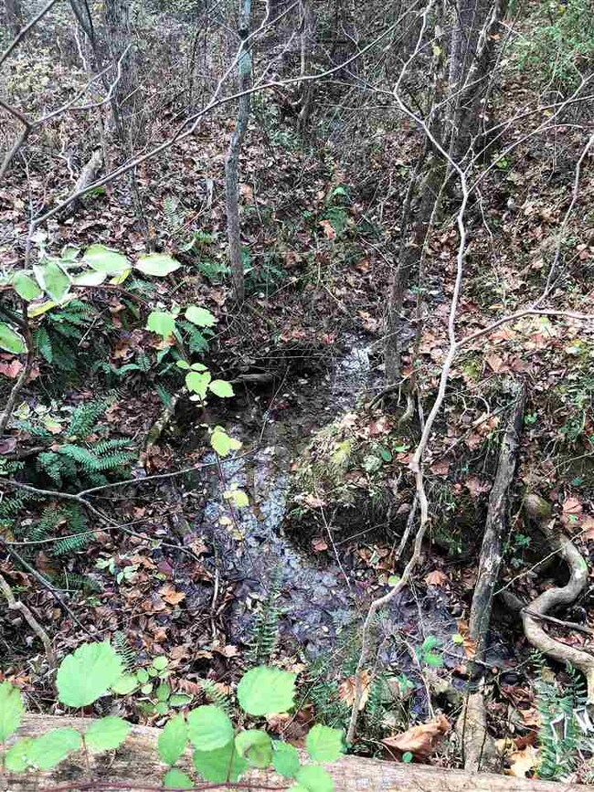 0 Forest Grove Rd unit 569410, Lexington, VA 24450 - photo 2