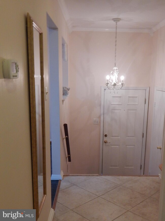 3543 Cherry Hill Ct, Beltsville, MD 20705 - photo 6