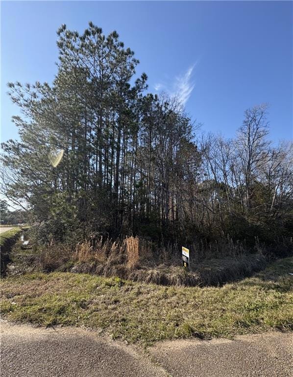 70465 11th St, Covington, LA 70433 - photo 2