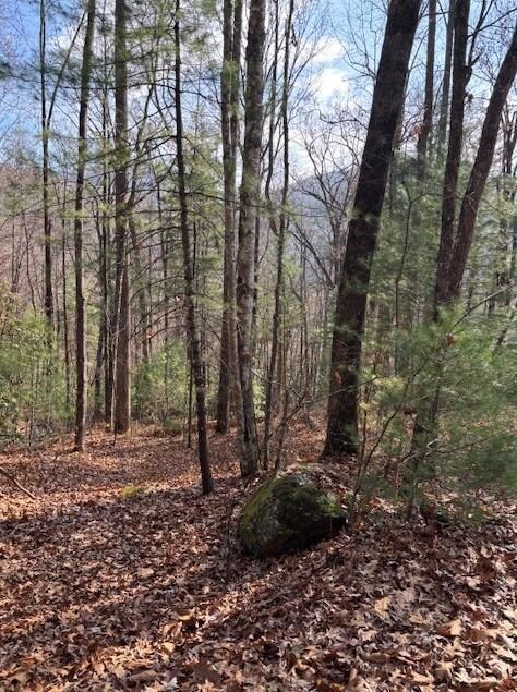 0 Evergreen Ln unit 7686011, Dillard, GA 30537 - photo 5