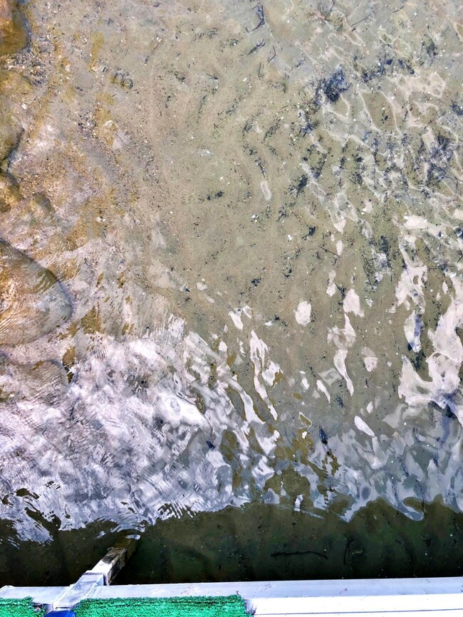 14016 Chippewa Loop, Park Rapids, MN 56470 - photo 6