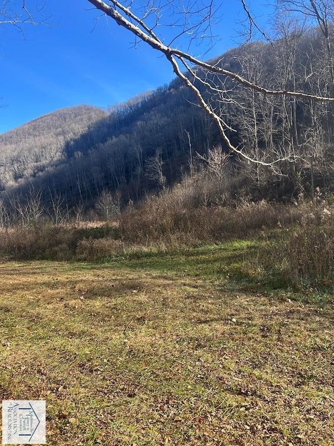 00 Kibler Valley Rd, Ararat, VA 24053 - photo 5