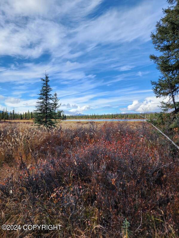 IMG_BC80ECBC5862-1