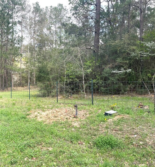 0000 Little John Cir, Hockley, TX 77447 - photo 6