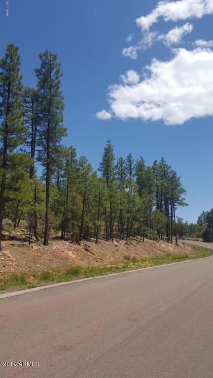 2321 S Bristle Cone Dr unit 345, Show Low, AZ 85901 - photo 2