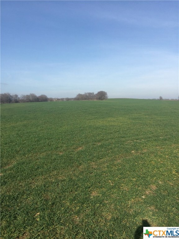 11621 Willow Grove Rd, Moody, TX 76557 - photo 4