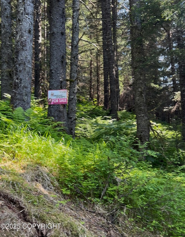 L15 B11 Malcolm St, Seldovia, AK 99663 - photo 5