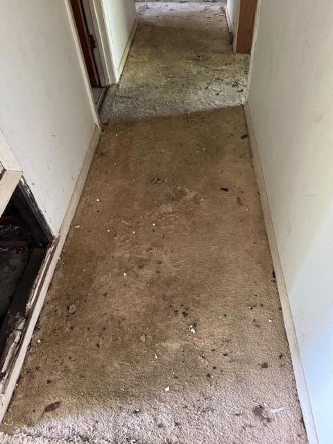 1303 Cindy Ln, Newport, AR 72112 - photo 5