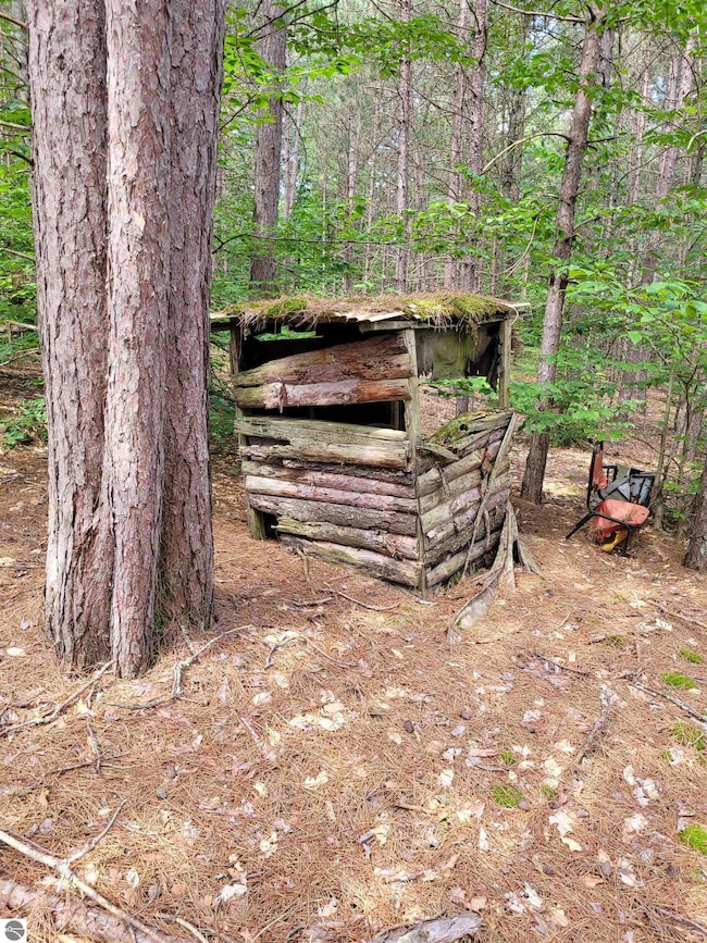 00 N Lakola Rd, Leroy, MI 49655 - photo 5