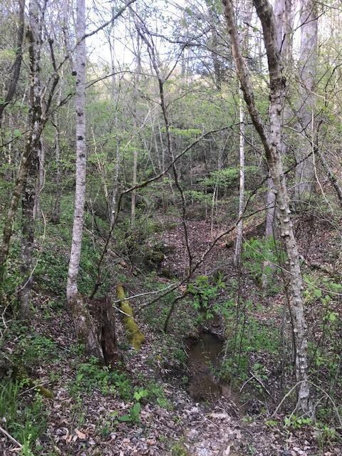Lot 8, wet-weather stream
