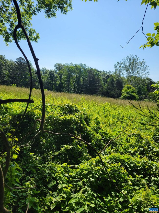 0 Gilbert Rd unit 631325, Ruckersville, VA 22968 - photo 2