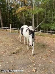 0 Spring Ct unit PM-121270, Bushkill, PA 18324 - photo 6