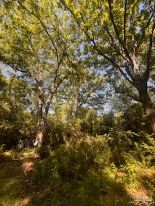 1329 Beaver Dam Rd, Bonifay, FL 32425 - photo 5