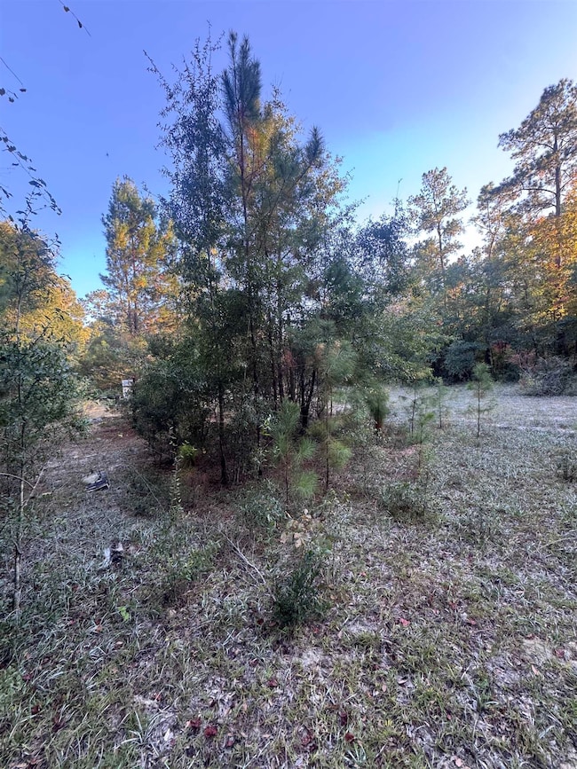 153 Davidson St, Quincy, FL 32351 - photo 3