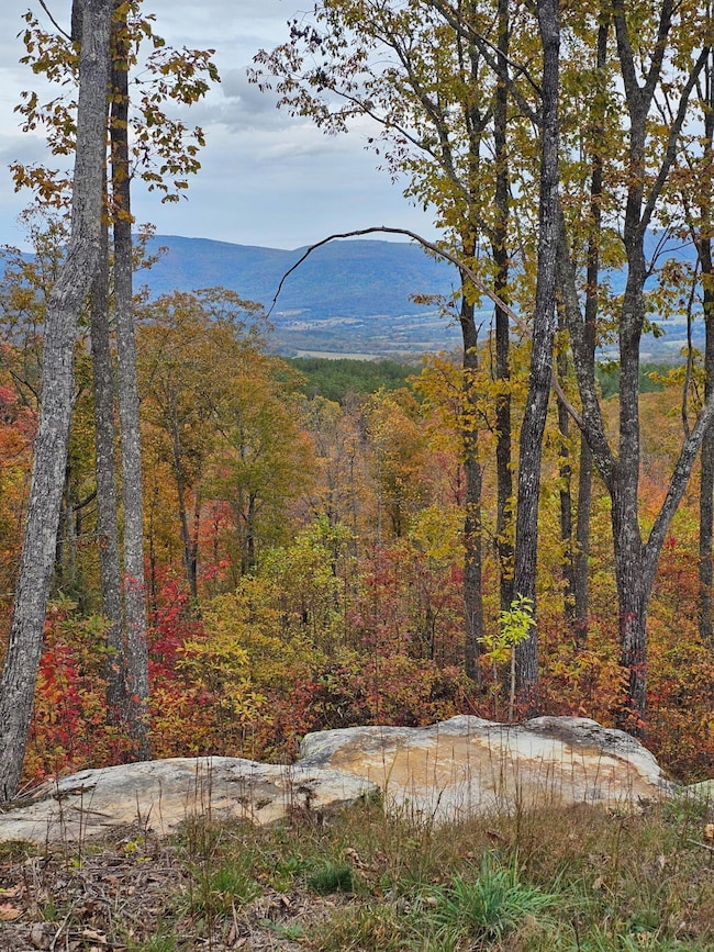 0 Overview Rd unit RTC3011844, Crossville, TN 38572 - photo 2