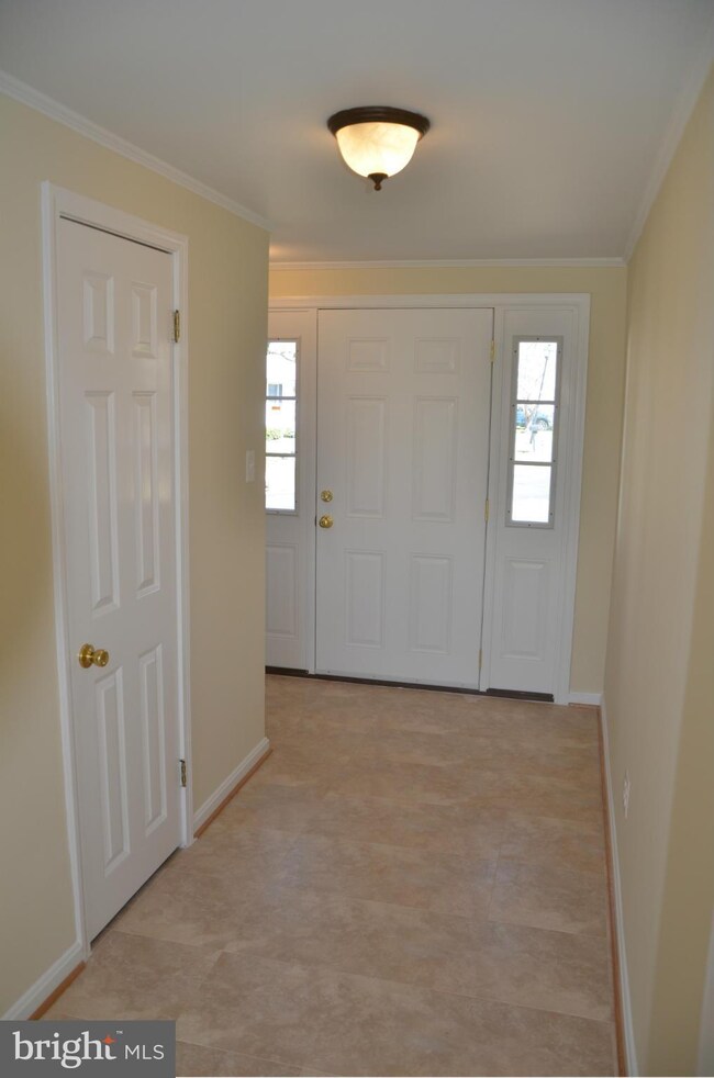 3878 Harrison Ct, Trappe, MD 21673 - photo 4