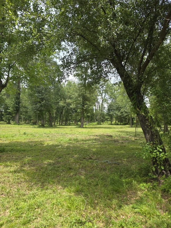 3116 State Highway 75 N, Huntsville, TX 77320 - photo 6