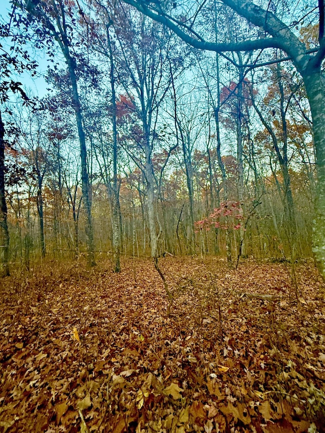 0 Deep Woods Rd, Sewanee, TN 37375 - photo 3