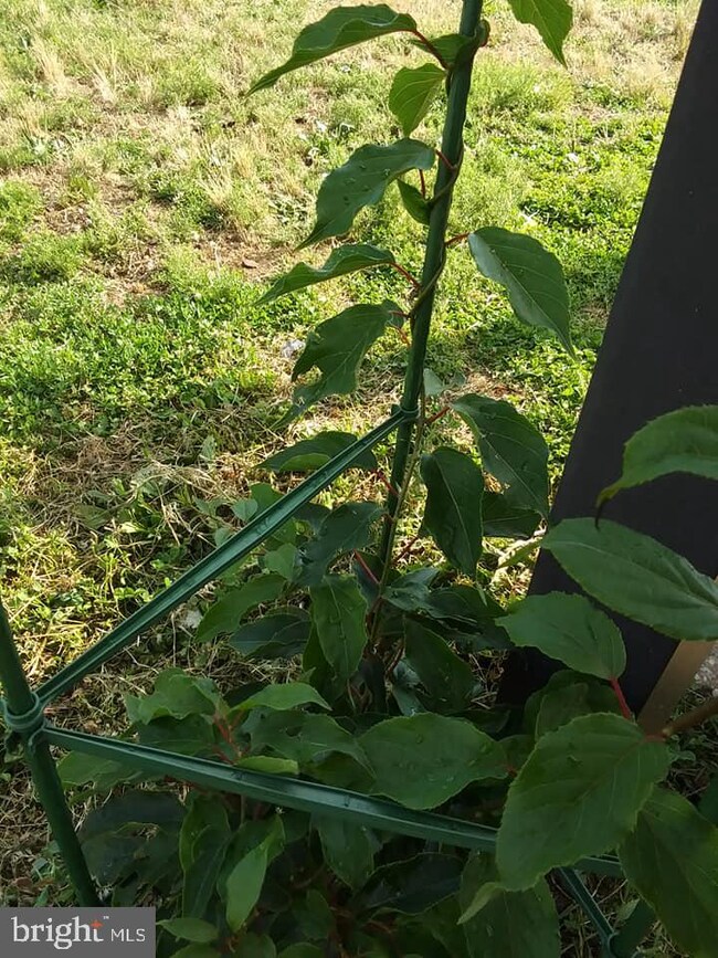 13 Lake Huron Dr, Little Egg Harbor Township, NJ 08087 - photo 5