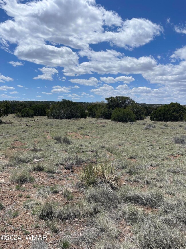 18 Pate Ln, Concho, AZ 85924 - photo 2