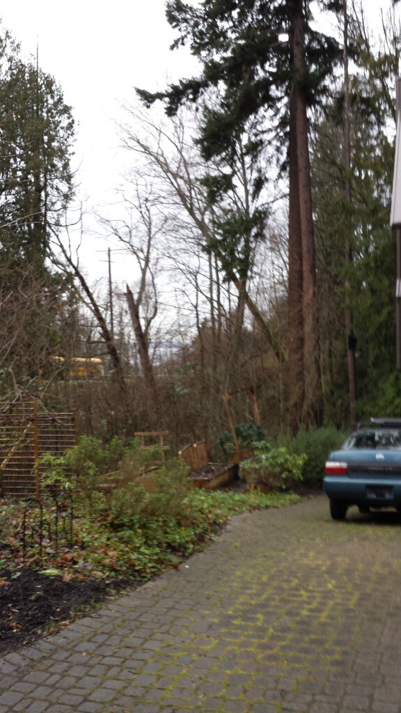 1228 Mukilteo Speedway, Mukilteo, WA 98275 - photo 5