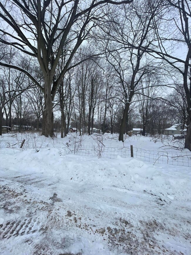 0 V L 13th and Cypress Ct, Three Rivers, MI 49093 - photo 5