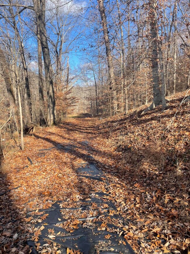 14645 Morehead Rd, Wallingford, KY 41093 - photo 5