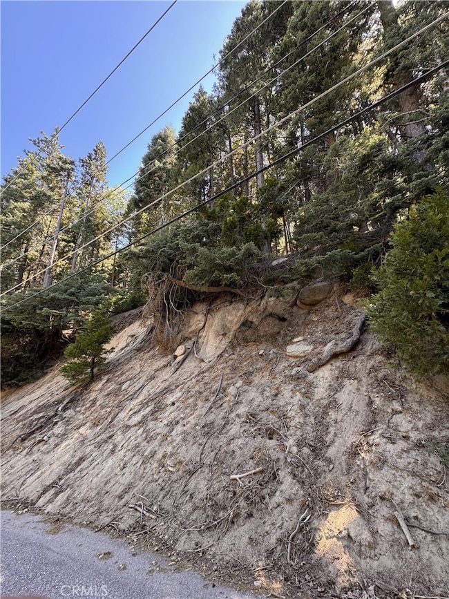 24355 Albrun Dr, Crestline, CA 92325 - photo 3