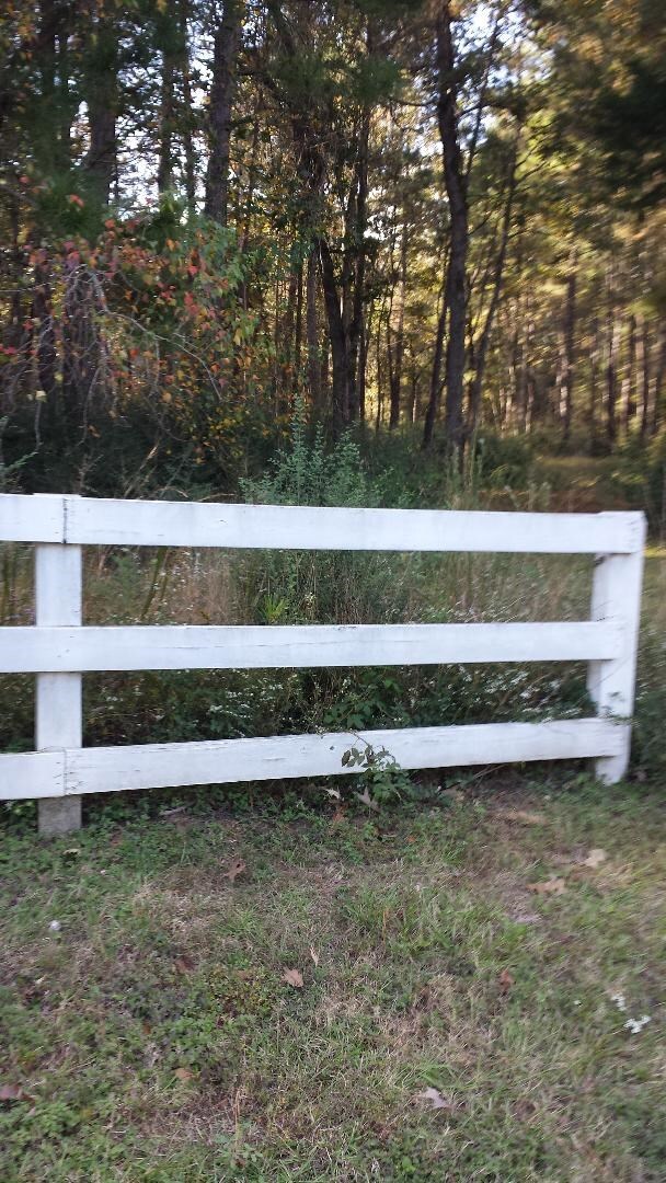 28603 Nichols Sawmill Rd, Magnolia, TX 77355 - photo 6