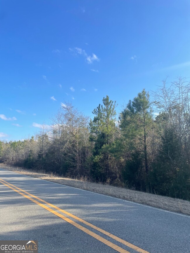 0 Rock Springs Rd unit 10456548, Dublin, GA 31021 - photo 3