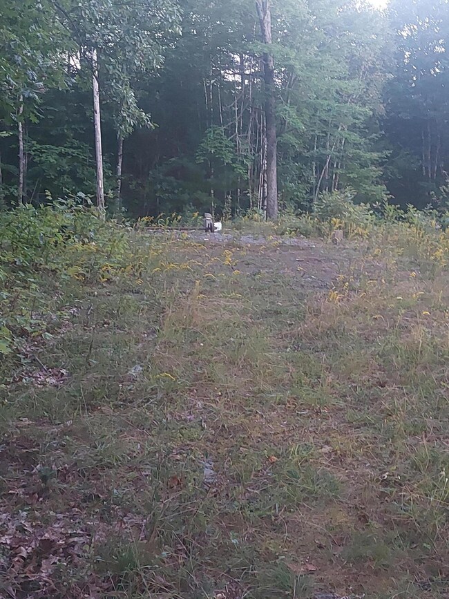 140 Stanchfield Ridge Rd, Milo, ME 04463 - photo 5