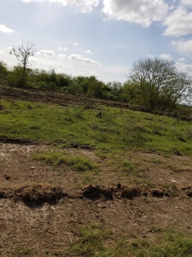 0 Randon Dyer Rd unit 72431967, Rosenberg, TX 77471 - photo 6