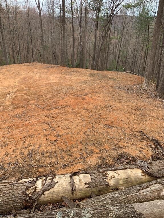 Lot 21 Falcon Ridge Ln, Ferguson, NC 28624 - photo 3