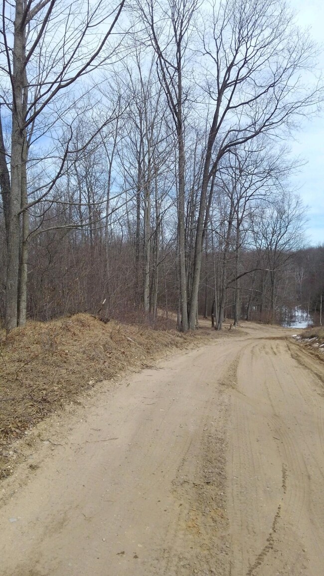 3180 Tice Trail, Lincoln Township, MI 48625 - photo 3