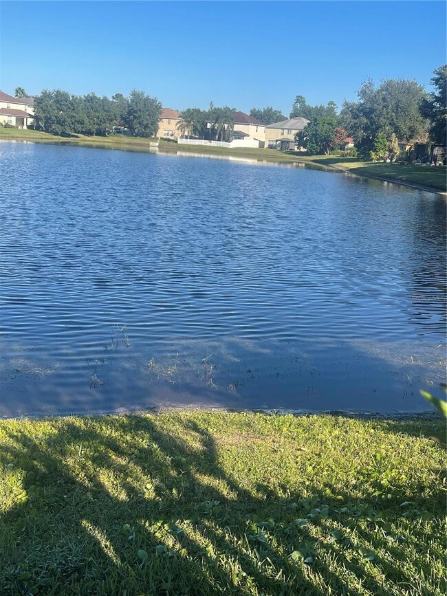 14869 Myakka Crown Dr, Orlando, FL 32828 - photo 6