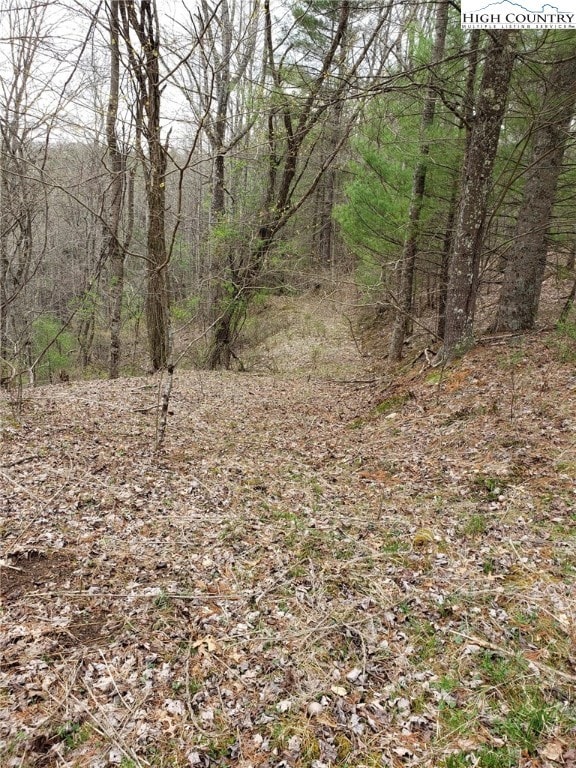 Logging road offshoot connecting points of property