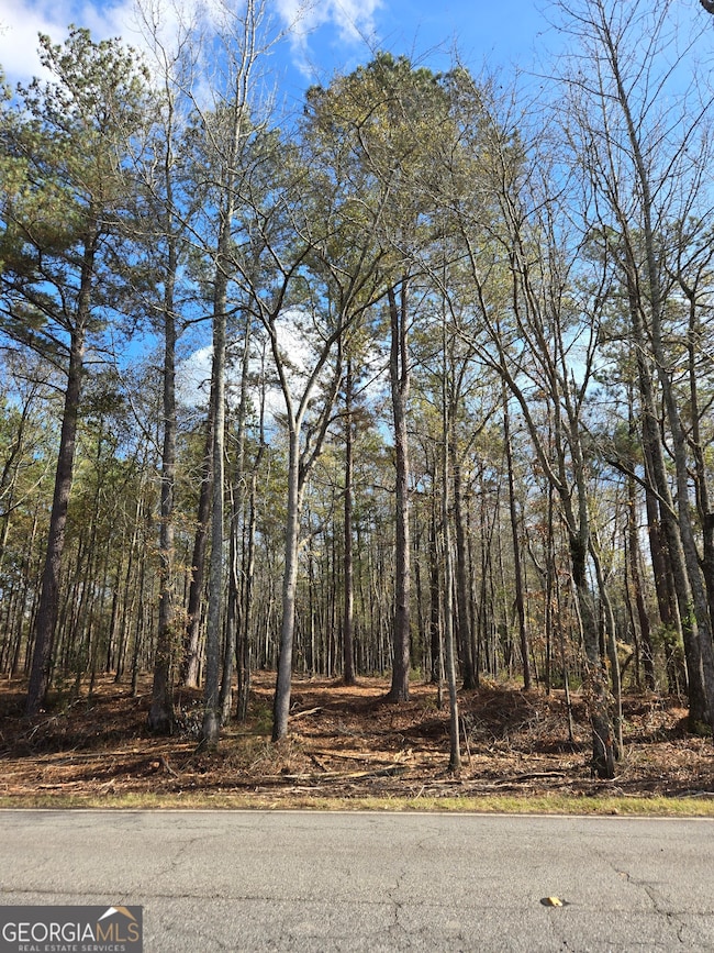 0 Yatesville Rd unit 10650403, Barnesville, GA 30204 - photo 2