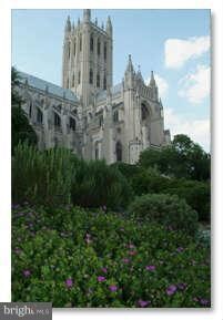 2712 Ordway St NW unit 13, Washington, DC 20008 - photo 4