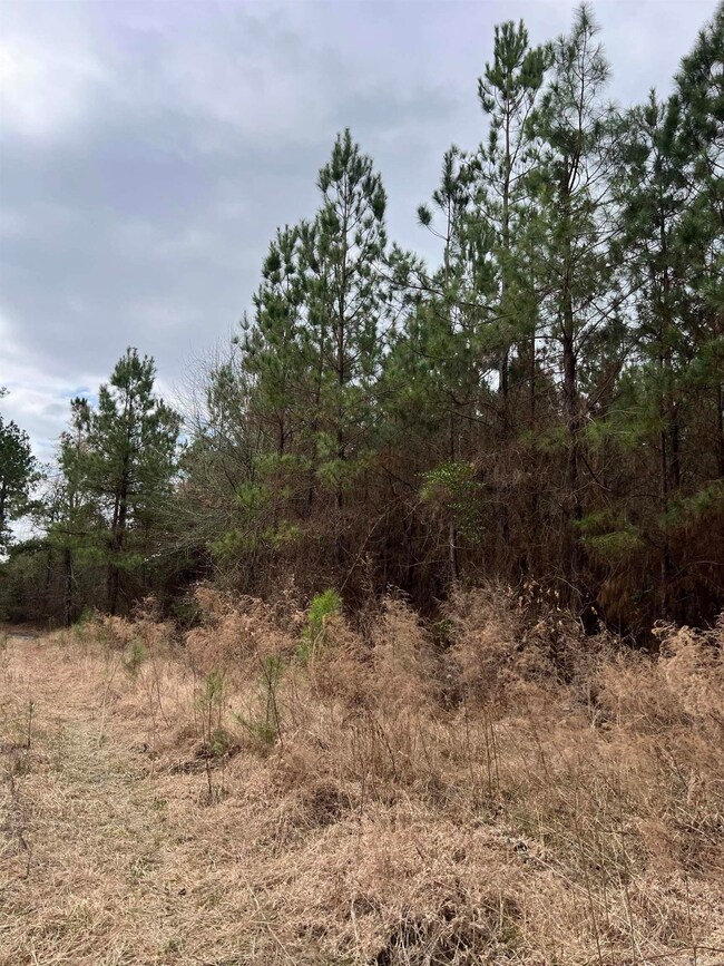 0 Kelly Ave E unit 24032577, Sparkman, AR 71763 - photo 7