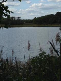 39 Rosepoint Ave, West Wareham, MA 02576 - photo 5