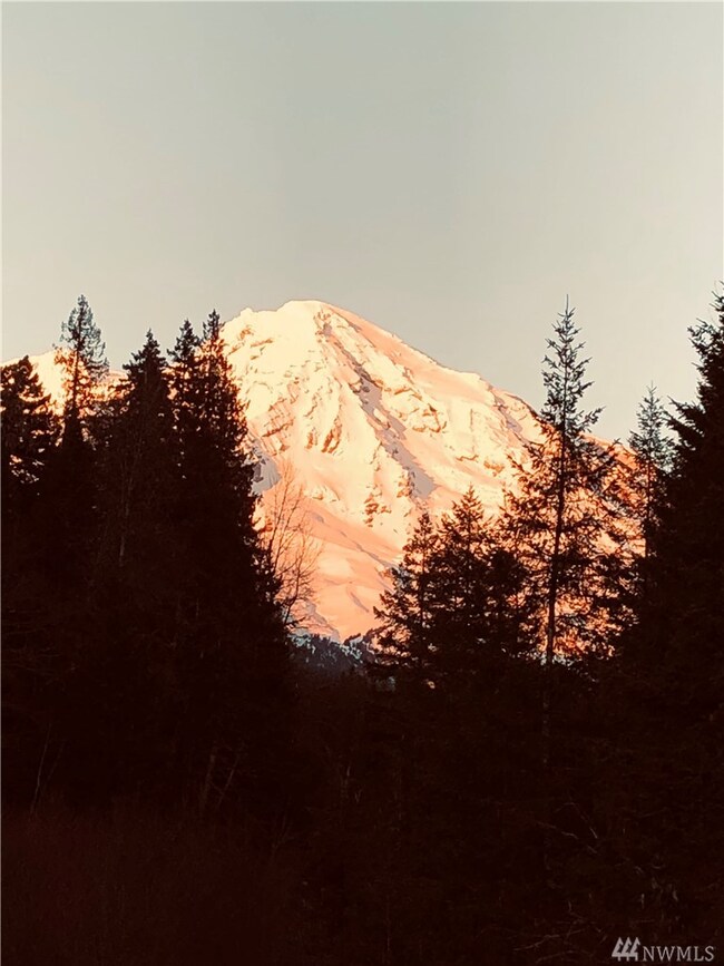 0 Pine Creek Rd unit 1745044, Bickleton, WA 99322 - photo 3